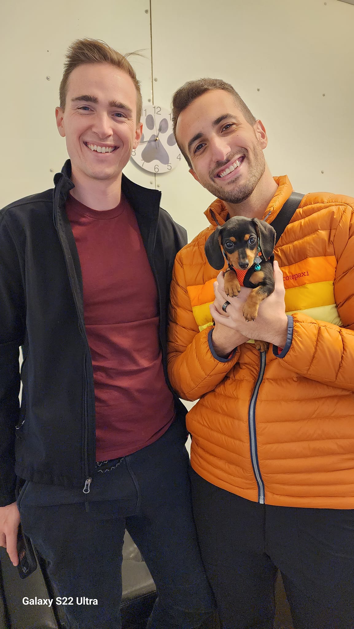 A Royal Puppy Love family memory