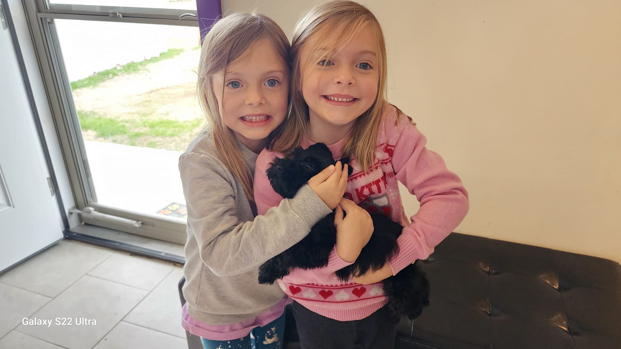 A Royal Puppy Love family memory