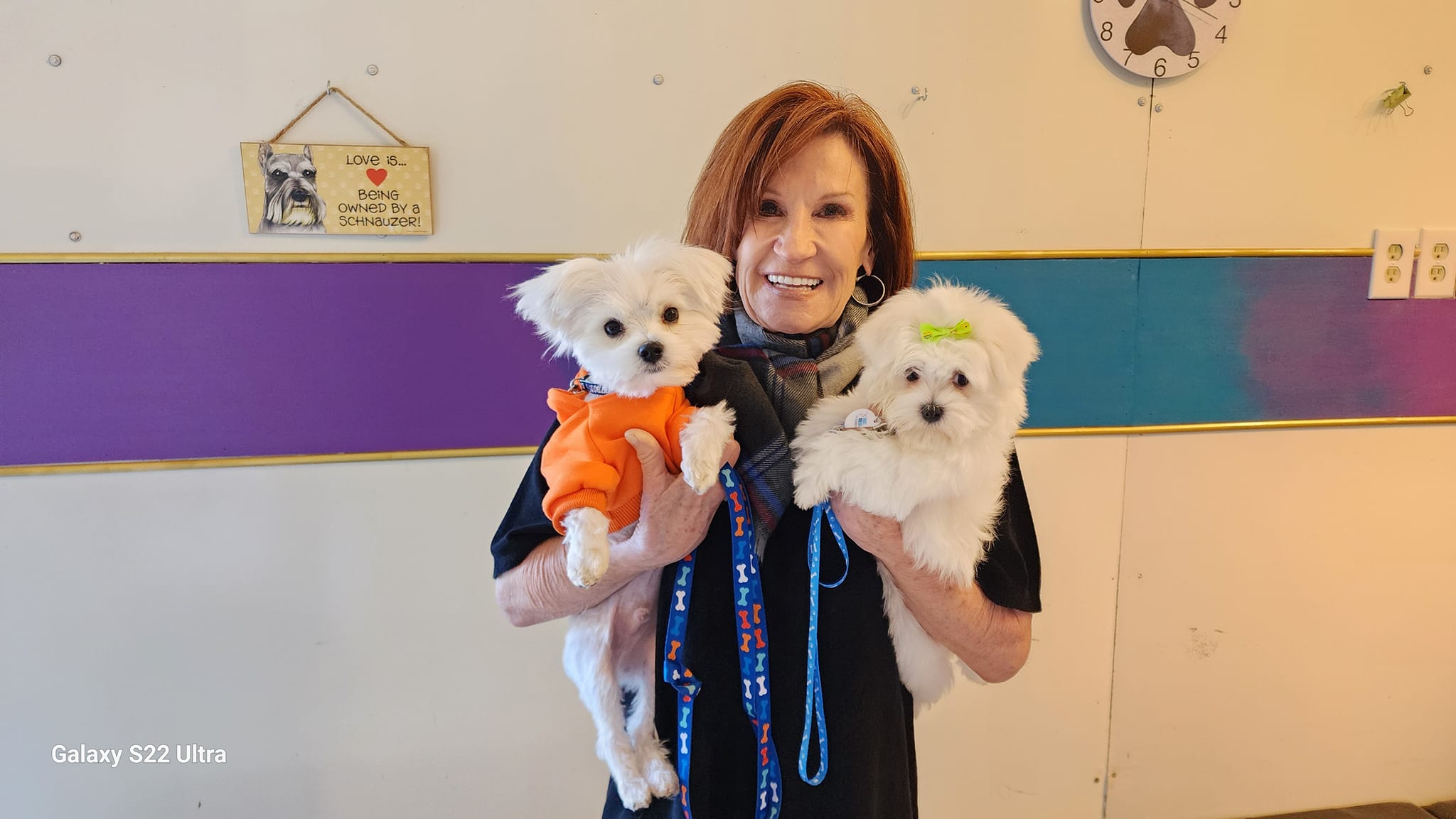 A Royal Puppy Love family memory