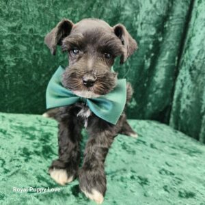 Gardetto (Reserved) Congrats to Steven V. in KS!