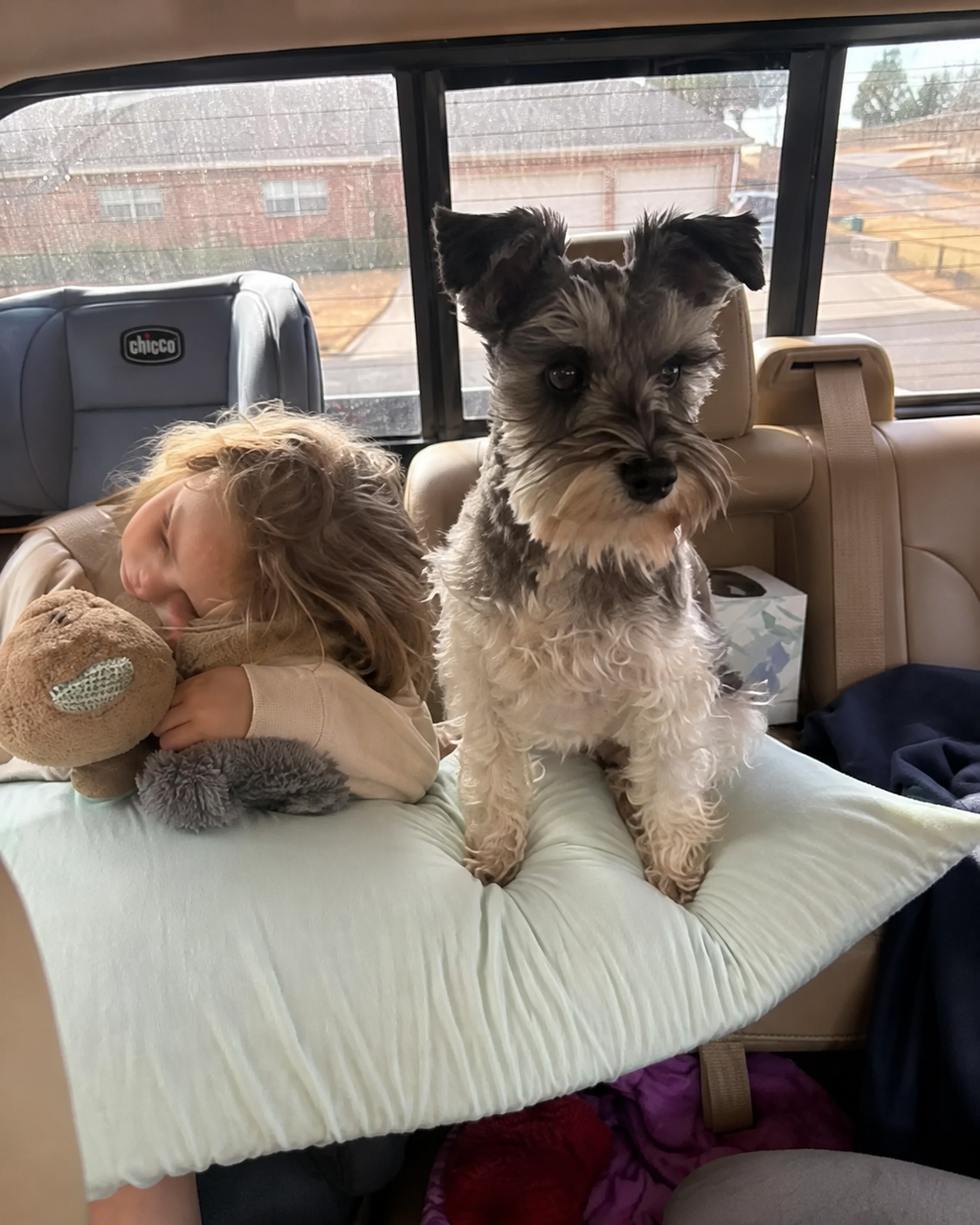 Rosie riding beside a sleeping child in the Hawkins family vehicle