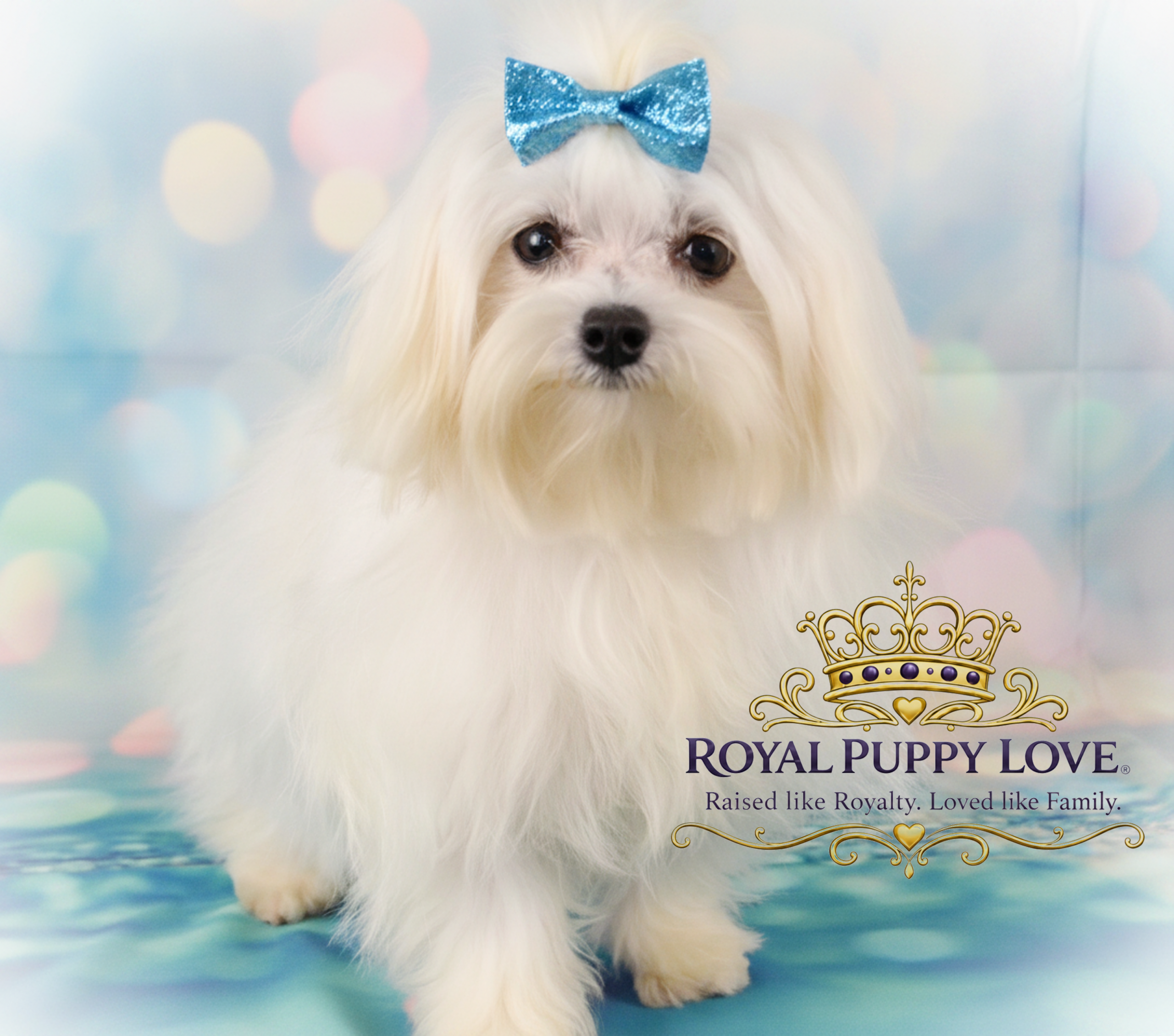 Royal Princess Keke