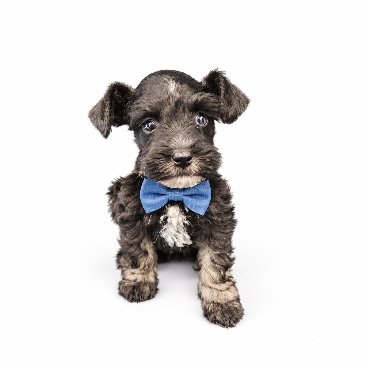 Tweedy (Reserved) Congrats to MICHAEL R. in OK! - Image 2